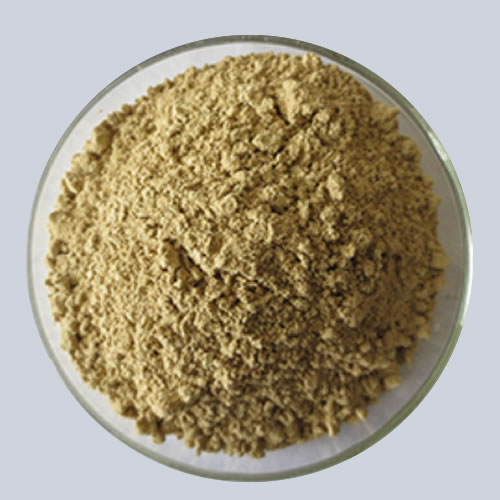 Organic Balsam Pear Powder